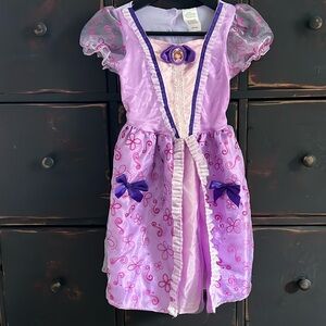 Disney Princess Sofia Costume Dress Up